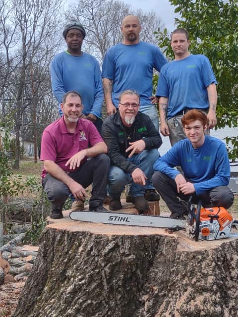 Niwaki Tree Service crew at work in Rock Hill SC